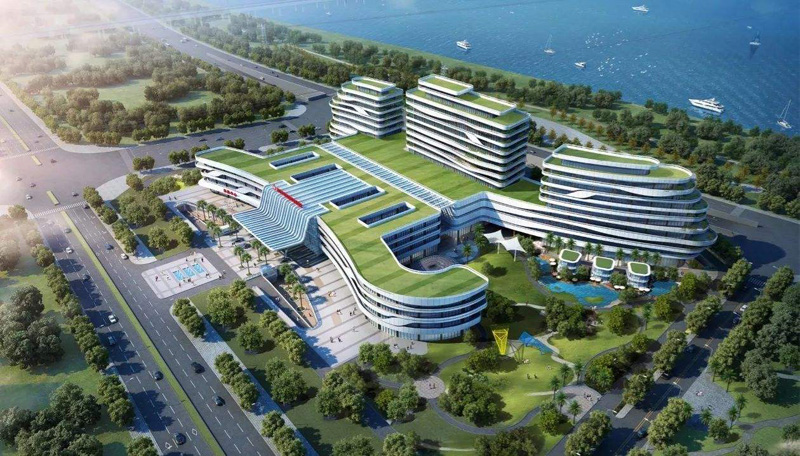 ���ױ���Ժ���